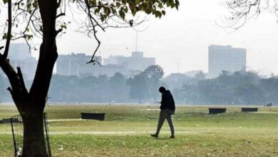 বিদায় নিচ্ছে শীত