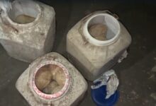 ভোটের আগে ভাঙড়ে উদ্ধার প্রচুর বোমা