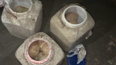 ভোটের আগে ভাঙড়ে উদ্ধার প্রচুর বোমা