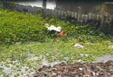 পানিহাটীতে পুকুর ভরাট