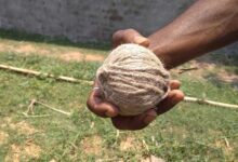 বোমা উদ্ধার