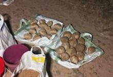 ২৬টি তাজা বোমা উদ্ধার ভাঙড়