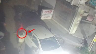 লাঠি উঁচিয়ে মারমুখী এক দুষ্কৃতী