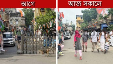 গ্রাফিক্স : ৭এ নিউস ডট কম