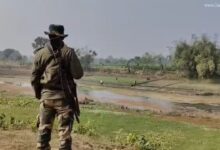 কাঁটাতারহীন সীমান্ত নিয়ে কড়া সরকার