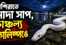 কালিম্পঙে দেখা মিললো বিরল সাদা সাপের