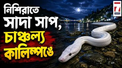 কালিম্পঙে দেখা মিললো বিরল সাদা সাপের