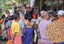 রেশনে বিলি হচ্ছে পোকা ধরা গম !